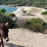 Шале Les Terrasses De Scaglioli Villanova
