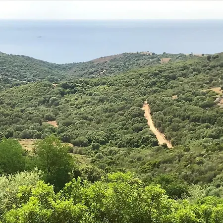 Les Terrasses De Scaglioli Dağ evi