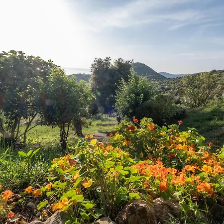Les Terrasses De Scaglioli * Villanova