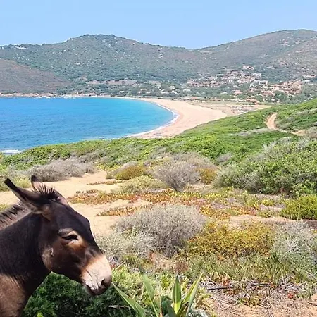 Les Terrasses De Scaglioli *