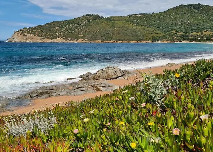 Les Terrasses De Scaglioli Villanova