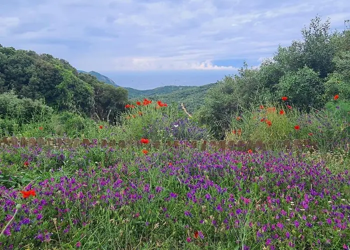 Les Terrasses De Scaglioli * Villanova