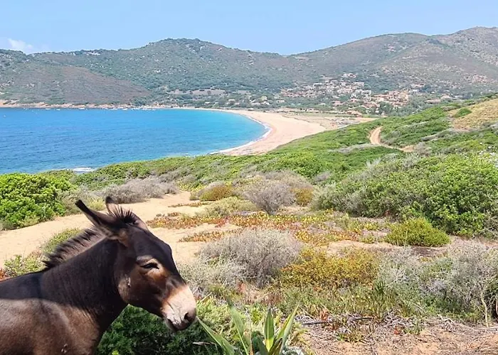 Les Terrasses De Scaglioli *