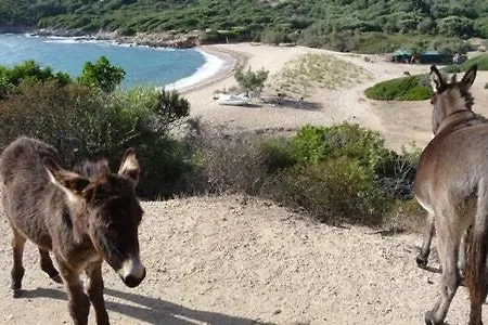 Σαλέ Les Terrasses De Scaglioli Villanova