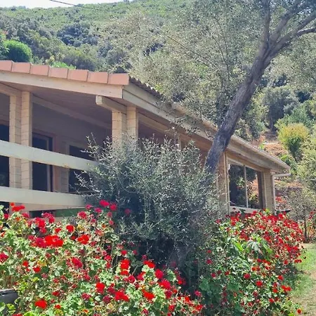 Les Terrasses De Scaglioli Σαλέ