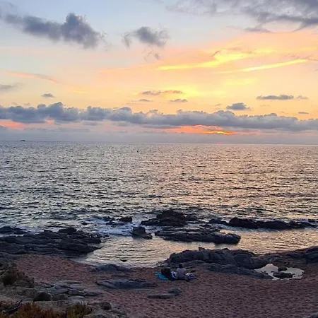 Les Terrasses De Scaglioli Σαλέ Villanova