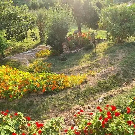 Chalé Les Terrasses De Scaglioli *