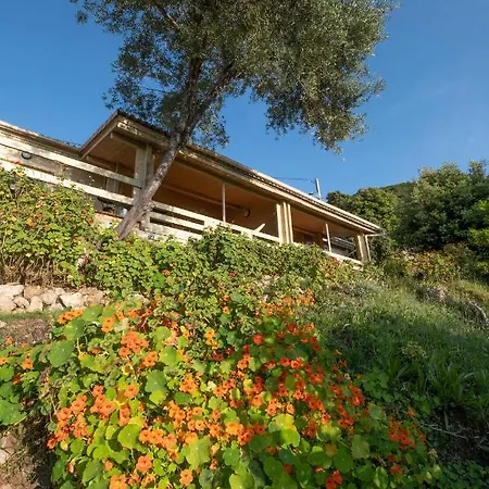 Les Terrasses De Scaglioli