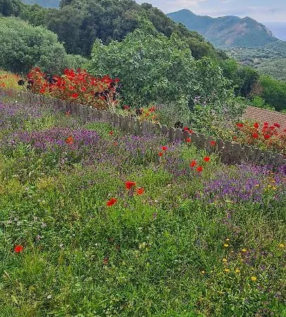 Les Terrasses De Scaglioli Σαλέ *