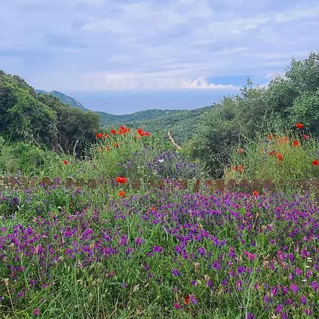 Les Terrasses De Scaglioli * Villanova