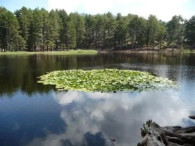 Les Terrasses De Scaglioli Villanova
