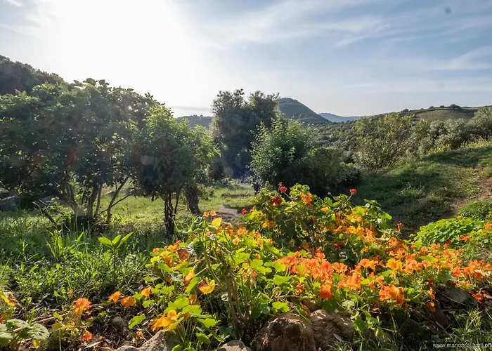 Les Terrasses De Scaglioli * Villanova