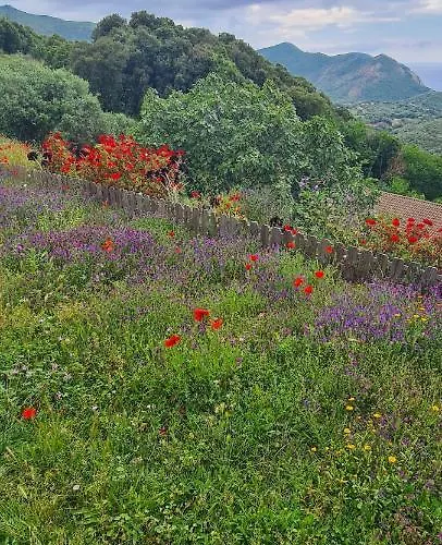 Les Terrasses De Scaglioli בקתה *